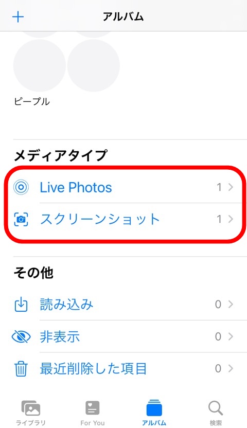 sc_photo_search_app02