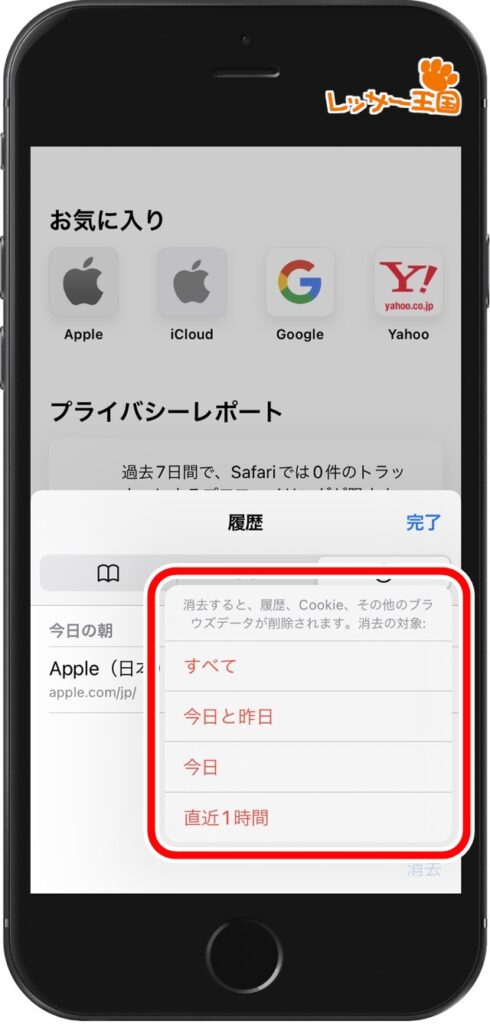 iphone-safari-history-bulk02